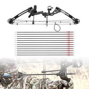 Battleship Compound Bow+12pcs Arrows Bow Hunting Set Archery Training Kit Black - Picture 1 of 21