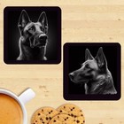 Belgian Malinois Dog Coasters, Set Of 2, Mug Mats, Gift