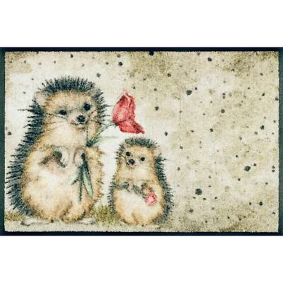 Wash+Dry Fußmatte waschbar Spike 40x60 cm Sauberlaufmatte - Bild 1 von 4