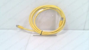 LUMBERG RST 4-RKT 4-643/2M, DOUBLE-ENDED SENSOR CORDSET, 600002330 #318019 - Picture 1 of 5