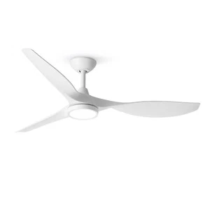 Roomratv Ceiling Fans with Lights,Large Airflow 52inch Modern Ceiling Fan wit... - Picture 1 of 9