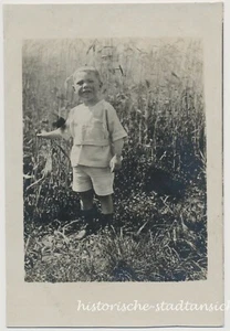 Weimar - Pequeño niño en Kornfeld - Foto antigua 1920 - Imagen 1 de 2