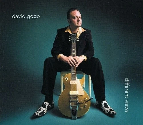Different Views by David Gogo [Audio CD] - Bild 1 von 1