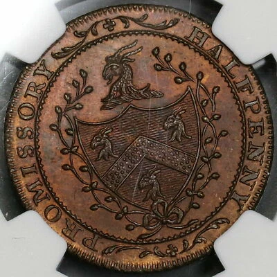 1795 NGC MS 64 Goat Conder 1/2 Penny Middlesex Allen's 246B POP 2/1 (21083104C) Foto 1 de 4