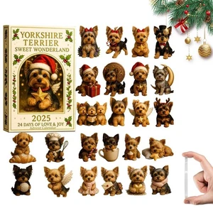 Calendario de Adviento de Navidad Decoración de Árbol de Navidad Colgantes de Acrílico U6U9 K G9O3 - Imagen 1 de 26