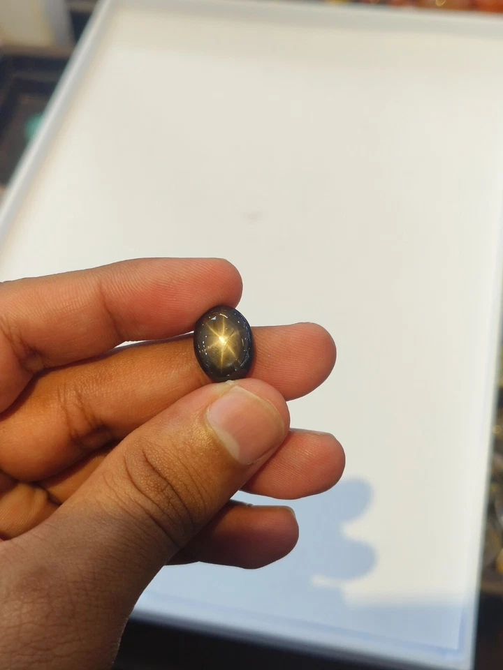 10.91 Cts A 100% NATURAL BLACK STAR SAPPHIRE WITH EXCELLENT 6 RAYS OF STAR ⭐ - Image 1 of 4