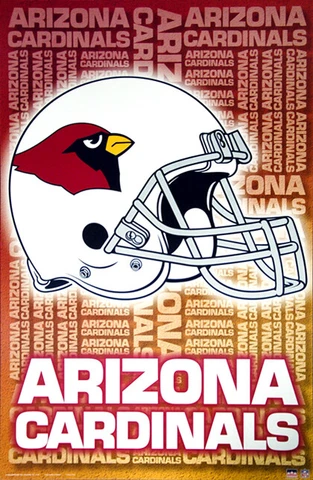ARIZONA CARDINALS Official NFL Helmet Team Logo Design 22x34 Wall POSTER Cover