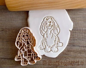Springer Spaniel Inglés Perros Cara Cuerpo Cortador de Galletas Perro Animal Mascota Doggo - Imagen 1 de 5