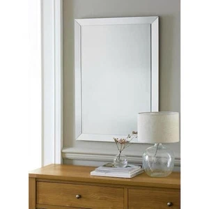 Wohndeko Sammlung 24 Zoll B x 36 Zoll H rechteckige Wand mit Kunststoffrahmen - Bild 1 von 2
