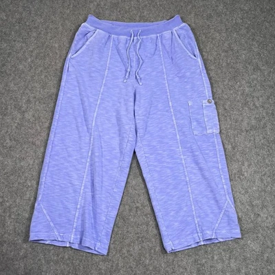 Fresh Produce Periwinkle Knit Capri Cropped Pedal Pusher Pants Women's Size 12 - Image 1 of 4
