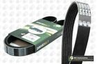 BGA Multi-V Drive Belt for Ford Tourneo Connect TDCi 110 1.8 May 2007-Aug 2013
