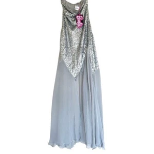 NUEVO CON ETIQUETAS $169 VESTIDO LARGO BARBIE ZARA PLATA LENTEJUELAS EDICIÓN LIMITADA 9002/834 Pequeño - Imagen 1 de 11