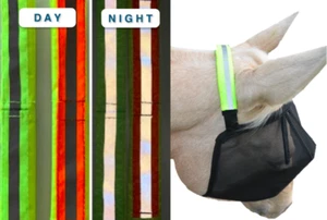 Wild Horse Fly Veil  Highlighter - Picture 1 of 3