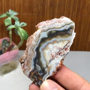 Rebanada de ágata mexicana natural piedra preciosa de cristal pulido/especimen áspero 50 g A1836 - Imagen 1 de 16