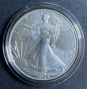 2023-W Burnished Uncirculated American Silver Eagle Coin OGP/COA (23EG) Beau Gem - Picture 1 of 6