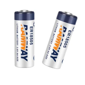 2 pz ER18505 3,6 V 4000 mAh Batteria agli ioni di litio non ricaricabile - Foto 1 di 4
