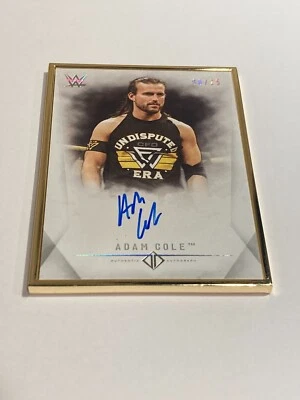 Adam Cole 2019 Topps Transcendent WWE Framed Autograph Card Auto NXT /25 - Image 1 of 2