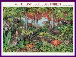 Scott# 3899 - 2005 37c Nature of America: N.E. Deciduous Forest / MNH  (loc a3) - Picture 1 of 3