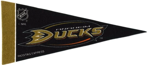 ANAHEIM DUCKS~BRAND NEW NHL HOCKEY TEAM MINI SOUVENIR 9" MINIATURE PENNANT Cover