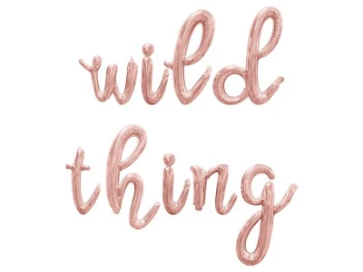 WILD THING Cursive Letter Balloon Banner - Birthday Party Jungle Zoo Theme Decor - Image 1 of 4