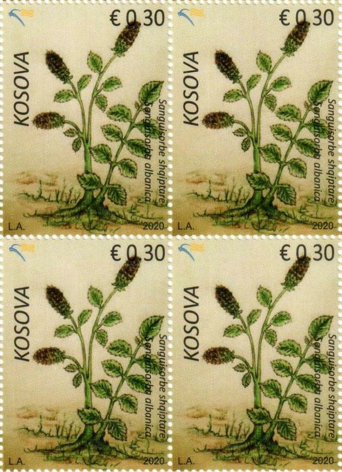 Estampillas de Kosovo 2020. Flora: Sanguisorba Albanica. Bloque de 4 MNH Foto 1 de 1