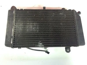 Honda Silver Wing 600 2001 2005 Radiator Water Cooler - Picture 1 of 1