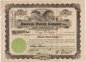 AMERICAN OSTRICH COMPANY 1907 ARIZONA CAPITAL STOCK CERTIFICATE ROY W ROPES AZ - Picture 1 of 2