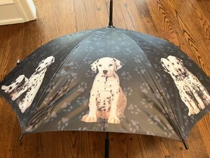 Dalmatian-themed Umbrella - Picture 1 of 6