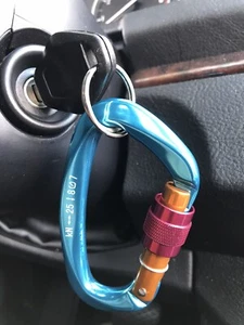 25KN Locking Gate Carabiner Heavy Duty Blue Pink Gold D- F8J9 - Picture 1 of 5