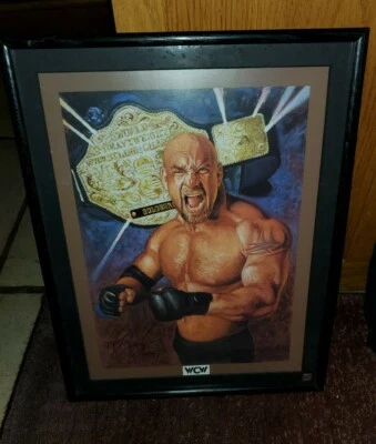 RaRe: Impresión enmarcada Bill Goldberg edición limitada 1998...WCW #356/4950 14' x 18" Foto 1 de 4