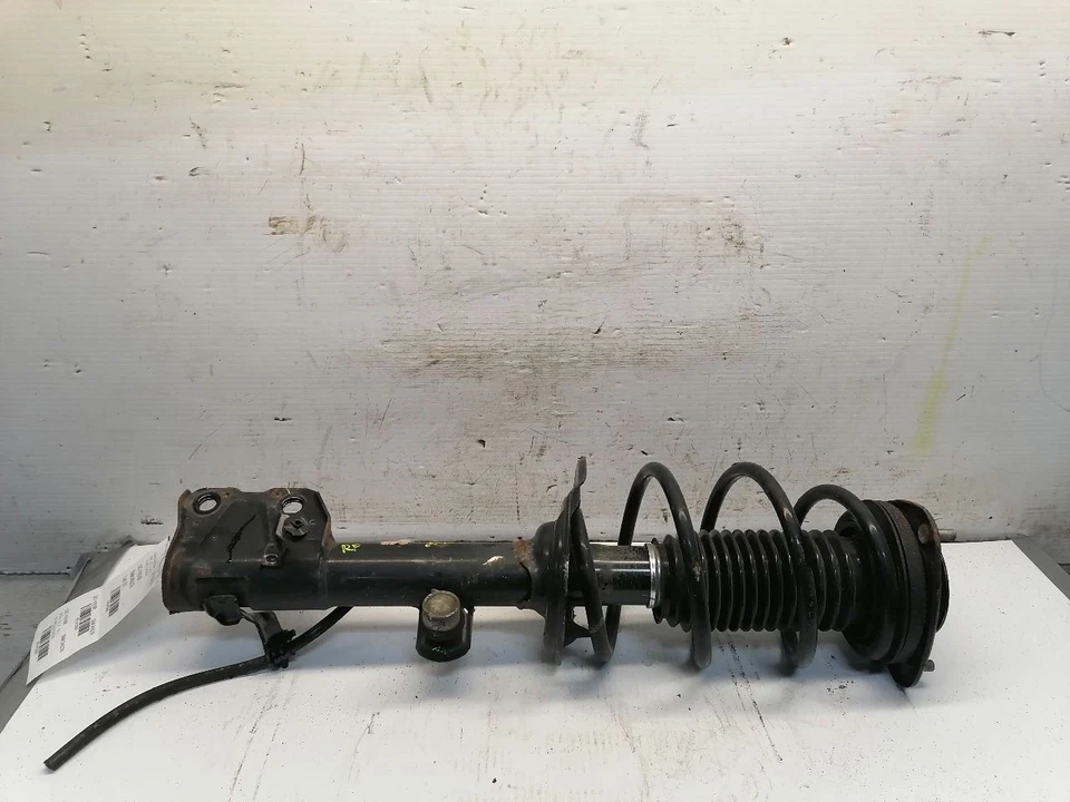 OUTBAKLEG 2021 Strut 1415880 - Image 1 of 4