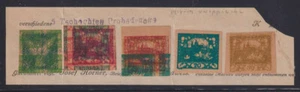 D8130: (5) 1918-19 Tschechoslowakei Druckerprobenmarken; Schau! - Picture 1 of 1