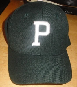 CAPPELLO DA BASEBALL VINTAGE PITTSBURGH PHILADELPHIA pennsylvania WOLFPACK BERRETTO ADERENTE 7 - Foto 1 di 3