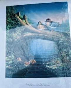 Signed Ducks Unlimited Art Print - Spring Splendor Green Wing Teal by Sam Timm - Picture 1 of 6