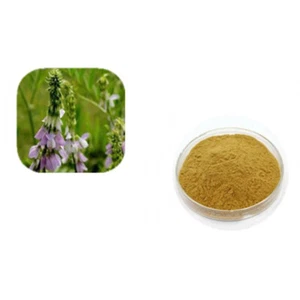 100g~500g Goat's Rue Extract Powder 30:1 Herbs Powder - Picture 1 of 2