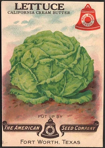 *Vintage* LETTUCE Veg Seed Packet Front Only AMERICAN SEED 1930's TEXAS *RARE* - Picture 1 of 1
