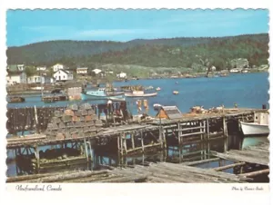 Roberts Arm, Notre Dame Bay, Newfoundland, Chrome Postcard - Foto 1 di 2