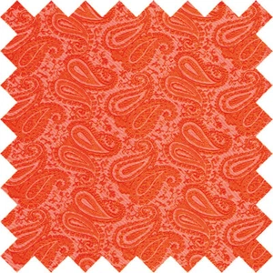 Verbrannte orange Blumenmuster Paisley Farbfeld Probe von DQT - Bild 1 von 1