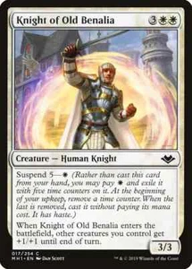 CABALLERO DE LA ANTIGUA BENALIA X 4 N/M - HORIZONTES MODERNOS MAGIA LA REUNIÓN - Imagen 1 de 1