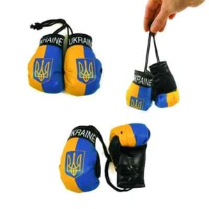 Boxhandschuhe Ukraine - Federung im Auto - Bild 1 von 2