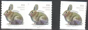SC#5545 - 2021 20c Brush Rabbit Additional Ounce Coil Pair & Single MNH - Picture 1 of 1
