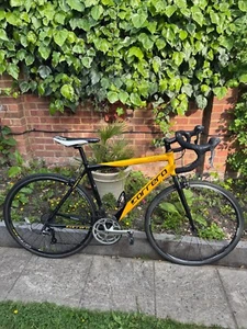 Herren Carrera Road Pro TDF LTD 16 Gang Shimano leichtes Rennrad Racer - Bild 1 von 21