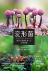 A Field Guide to Myxomycetes Photo Book Deformed bacteria (Language/Japanese)