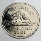 2001 P spécimen Canada pièce de 5 cents nickel non circulée Y999