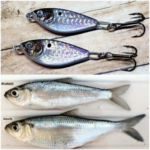 Angeln Jiggen Casting Trolling Spoon Köder 1/2oz Holograph Shad (3 Stück) - Bild 1 von 4