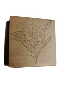Morning Glory Flower Rubber Stamp Floral Illustration Design Vtg. Stamp Affair - Picture 1 of 3