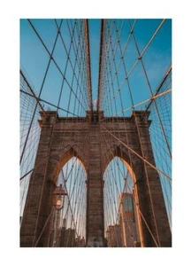 Look in - Imagen 1 de 17