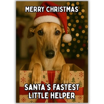 HAIRY DUCK PRINTS Cute Greyhound Dog Christmas Card For Him Her Friend Man Woman Santas Helper