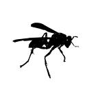 WASP  INSECT SILHOUETTE CAR DECAL STICKER