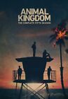 Animal Kingdom : Saison5 (DVD) Molly Gordon Rigo Sanchez Scott Speedman Finn Cole